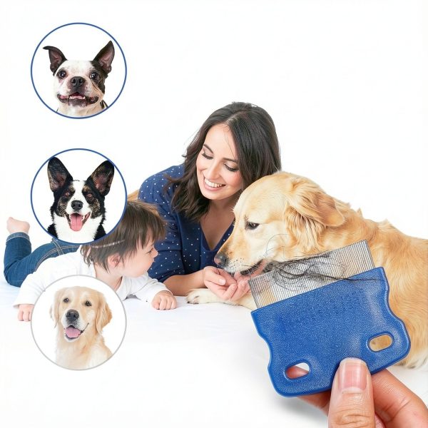 Gjinxi Stainless Steel Flea Comb Set for Cats and Dogs-5