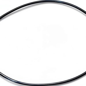 Echoplex Belt BeltMaster Replacement for Maestro EP-1/EP-4-0