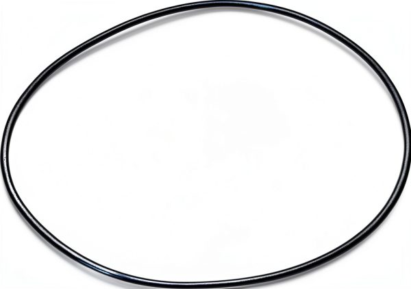 Echoplex Belt BeltMaster Replacement for Maestro EP-1/EP-4-0
