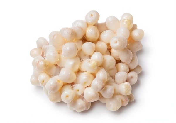 Richmond Dental Cotton Pellets Size 2 7/32" Diameter Rolls-2