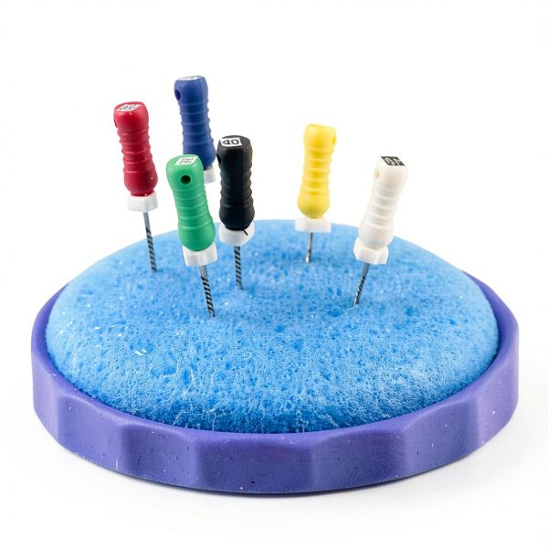 PlastCare USA Premium Blue Round 2.5" Endodontic Foam – Pack of 50 Sponges for Optimal Dental Procedures & Root Canal Treatments-2